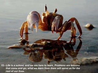 15.- L ife is a school, and we are here to learn. Problems are lessons that come and go; what we learn from them will serve us for the rest of our lives . 