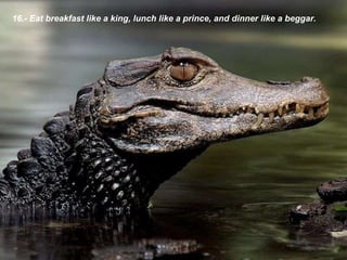 16.- Eat breakfast like a king, lunch like a  prince, and dinner like a beggar . 