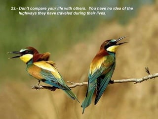23.- Don’t compare your life with others .  You have no idea of the highways they have traveled during their lives. 