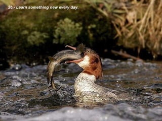 26.- Learn something new every day.  