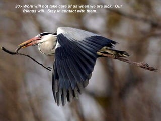 30.- Work will not take care of us when we are sick .  Our friends will.  Stay in contact with them. 