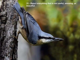 31.-  Reject everything that is not useful, amusing, or beautiful . 