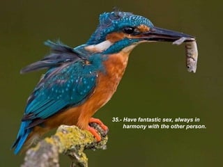 35.- Have fantastic sex, always in harmony with the other person. 