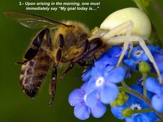  3 .- Upon arising in the morning, one must immediately say “My goal today is....” 