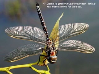 4.- Listen to quality music every day.  This is real nourishment for the soul . 
