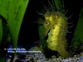 5.- Live with the 3 Es: Energy, Enthusiasm and Empathy. 