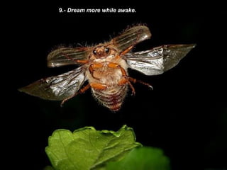9 .- Dream more while awake . 