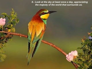 8.- Look at the sky at least once a day, appreciating the majesty of the world that surrounds us. 