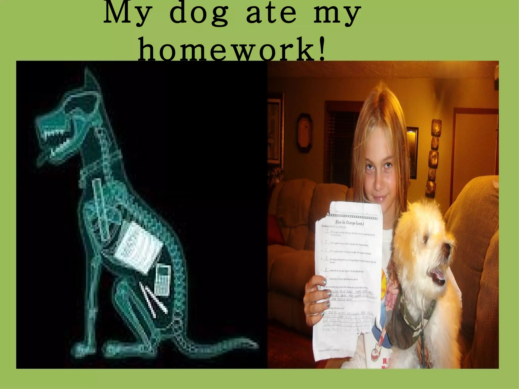 My dog ate my
 homework!
 