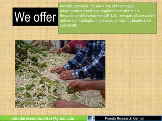 We offer
Provide specialist: for each one of the stages.
Adapt production to the requirements of the EU.
Research and Development (R & D), are part of a research
network on biological molecules actives for beauty care
and health
pinedaresearchcenter@gmail.com Pineda Research Center
 
