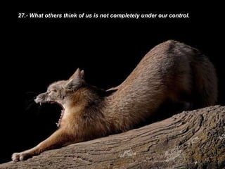 27.- What others think of us is not completely under our control. 