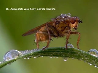 28.-  Appreciate your body, and its marvels . 