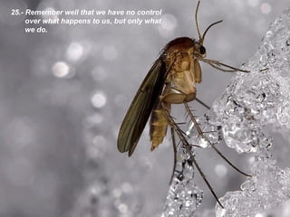 25.- Remember well that we have no control over what happens to us, but only what we do.  