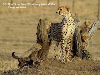 32.- Don’t lose time . We already have all the things we need . 