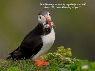 36.- Phone your family regularly, and tell them “Hi, I was thinking of you”. 