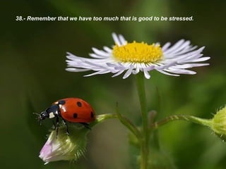 38.- Remember that we have too much that is good to be stressed. 