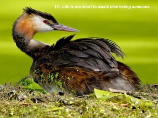 19.-  Life is too short to waste time hating someone. 