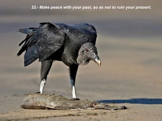 22.- Make peace with your past, so as not to ruin your present. 
