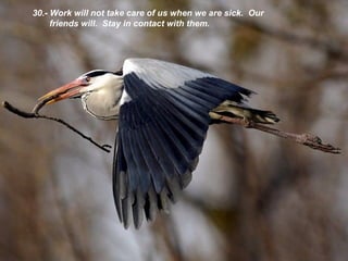 30.- Work will not take care of us when we are sick .  Our friends will.  Stay in contact with them. 