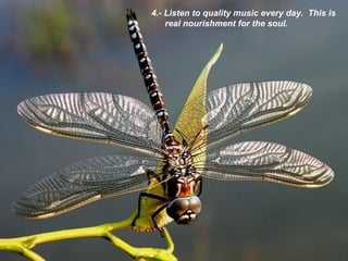 4.- Listen to quality music every day.  This is real nourishment for the soul . 