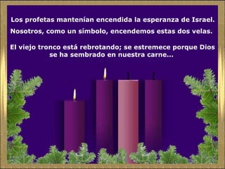 Los profetas mantenían encendida la esperanza de Israel.  Nosotros, como un símbolo, encendemos estas dos velas.  El viejo tronco está rebrotando; se estremece porque Dios se ha sembrado en nuestra carne...  