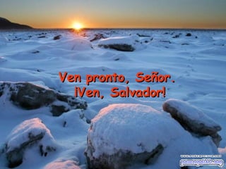 Ven pronto, Señor.  ¡Ven, Salvador! 