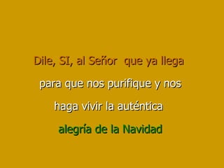 Dile, SI, al Señor  que ya llega   para que nos purifique y nos haga vivir la auténtica  alegría de la Navidad 
