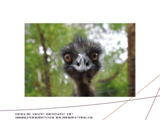 Bekijk onze website op
www.pondressocialmarketing.nl
 