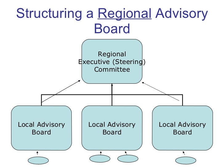 Advisory board structure summer 2008