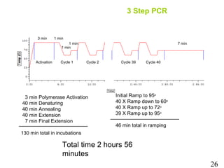 Two Step Pcr Ramp Rate Advanced molecular biology real time qpcr | PPTX