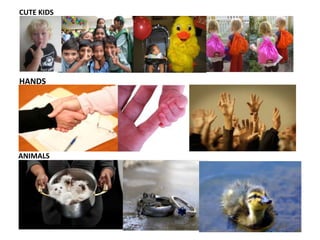 CUTE KIDSHANDS Animals