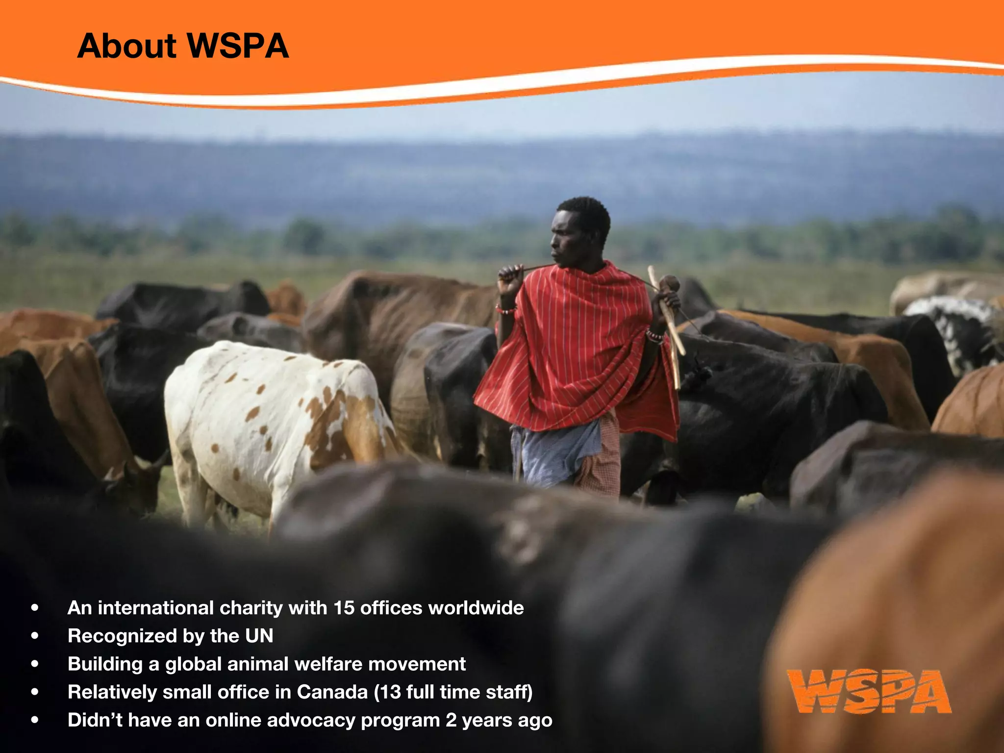 WSPA Online Advocacy
