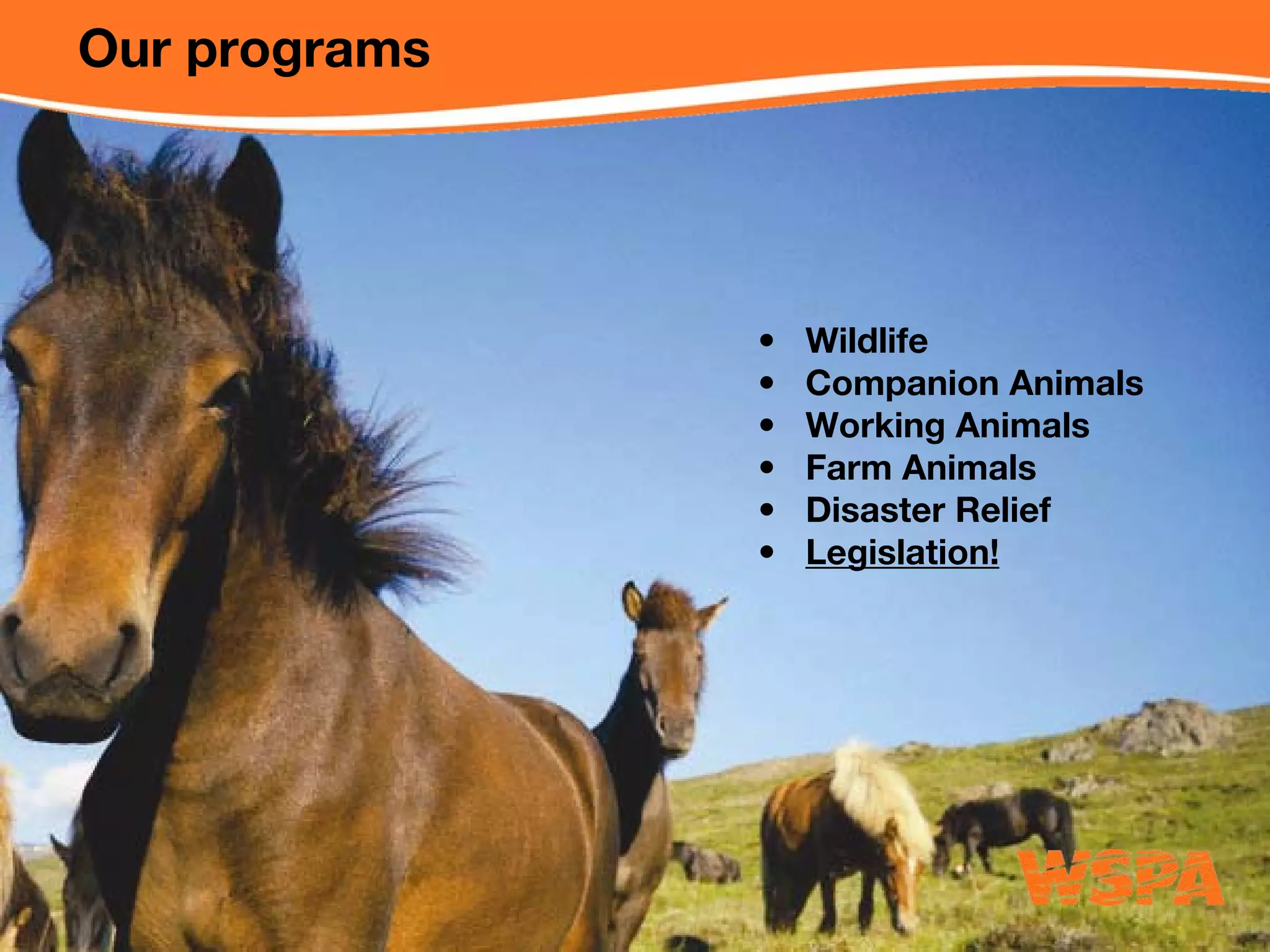 WSPA Online Advocacy