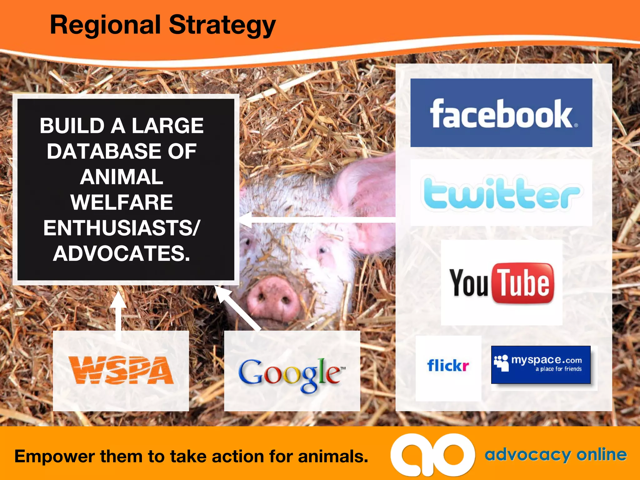 WSPA Online Advocacy