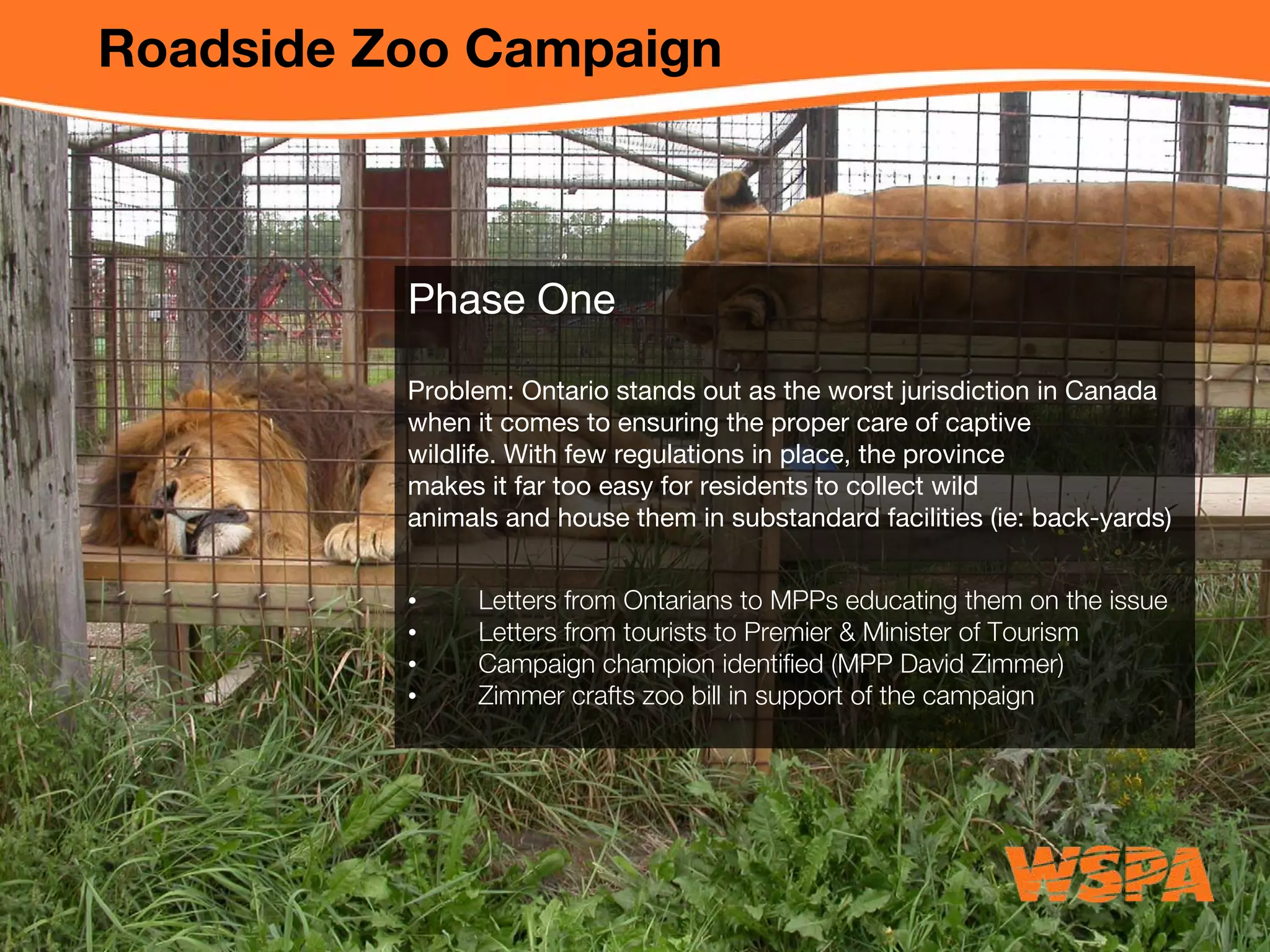 WSPA Online Advocacy