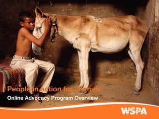 People in action for animals
Online Advocacy Program Overview
 