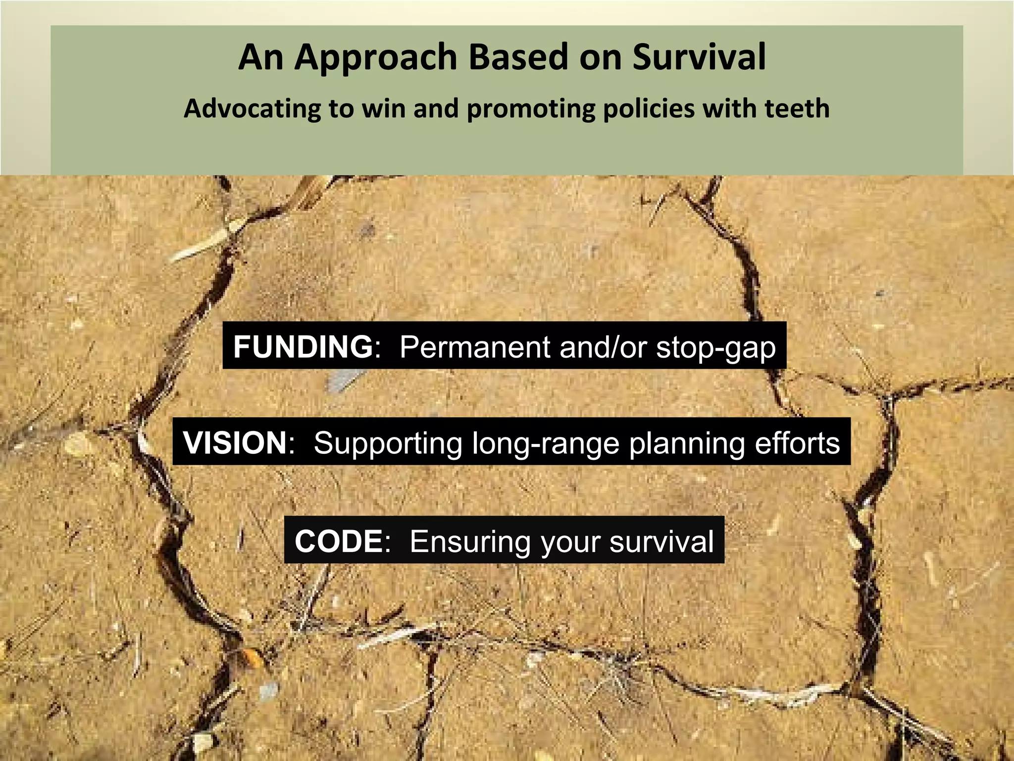 An Approach Based on Survival  Advocating to win and promoting policies with teeth FUNDING :  Permanent and/or stop-gap VISION :  Supporting long-range planning efforts CODE :  Ensuring your survival 