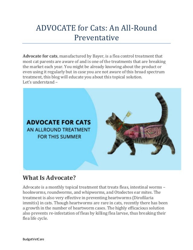 advocate for cats ear mites