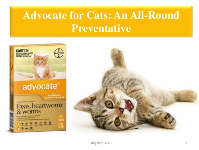 advocate for cats cheapest price