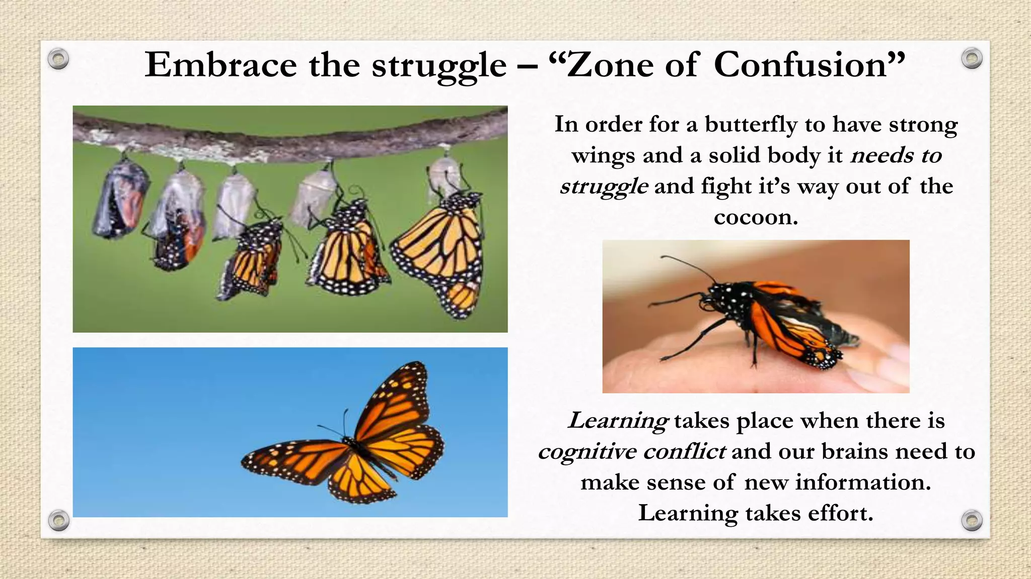 In order for a butterfly to have strong
wings and a solid body it needs to
struggle and fight it’s way out of the
cocoon.
Learning takes place when there is
cognitive conflict and our brains need to
make sense of new information.
Learning takes effort.
Embrace the struggle – “Zone of Confusion”
 