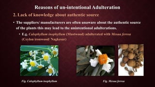 2. Lack of knowledge about authentic source
• The suppliers/ manufacturers are often unaware about the authentic source
of the plants this may lead to the unintentional adulterations.
• E.g. Calophyllum inophyllum (Mastwood) adulterated with Mesua ferrea
(Ceylon ironwood/ Nagkesar)
Fig. Calophyllum inophyllum Fig. Mesua ferrea
Reasons of un-intentional Adulteration
 