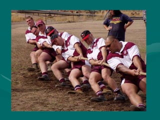 Advanced practice nurse led clinics March 2010