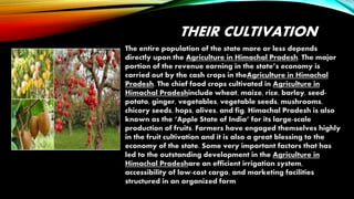 THEIR CULTIVATION
The entire population of the state more or less depends
directly upon the Agriculture in Himachal Pradesh. The major
portion of the revenue earning in the state’s economy is
carried out by the cash crops in theAgriculture in Himachal
Pradesh. The chief food crops cultivated in Agriculture in
Himachal Pradeshinclude wheat, maize, rice, barley, seed-
potato, ginger, vegetables, vegetable seeds, mushrooms,
chicory seeds, hops, olives, and fig. Himachal Pradesh is also
known as the ‘Apple State of India’ for its large-scale
production of fruits. Farmers have engaged themselves highly
in the fruit cultivation and it is also a great blessing to the
economy of the state. Some very important factors that has
led to the outstanding development in the Agriculture in
Himachal Pradeshare an efficient irrigation system,
accessibility of low-cost cargo, and marketing facilities
structured in an organized form
 