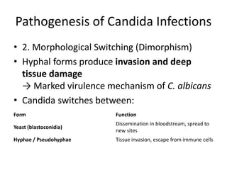 Comprehensive Clinical Microbiology of Candida albicans and Candidiasis ...