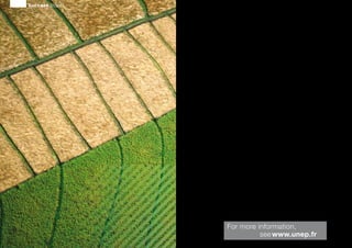 Success Stories
About the UNEP Division of Technology,
Industry and Economics
The UNEP Division of Technology, Industry and Economics (DTIE) helps
governments, local authorities and decision-makers in business and
industry to develop and implement policies and practices focusing on
sustainable development.
The Division works to promote:
> sustainable consumption and production,
> the efficient use of renewable energy,
> adequate management of chemicals,
> the integration of environmental costs in development policies.
The Office of the Director, located in Paris, coordinates activities
through:
> 	The International Environmental Technology Centre - IETC (Osaka, Shiga),
which implements integrated waste, water and disaster management programmes,
focusing in particular on Asia.
>	 Sustainable Consumption and Production (Paris), which promotes sustainable
	 consumption and production patterns as a contribution to human development
	 through global markets.
> 	Chemicals (Geneva), which catalyzes global actions to bring about the sound
	 management of chemicals and the improvement of chemical safety worldwide.
> Energy (Paris and Nairobi), which fosters energy and transport policies for sustainable
development and encourages investment in renewable energy and energy efficiency.
> OzonAction (Paris), which supports the phase-out of ozone depleting substances
	 in developing countries and countries with economies in transition to ensure
	 implementation of the Montreal Protocol.
> Economics and Trade (Geneva), which helps countries to integrate environmental
considerations into economic and trade policies, and works with the finance sector
	 to incorporate sustainable development policies.
UNEP DTIE activities focus on raising awareness,
improving the transfer of knowledge and information,
fostering technological cooperation and partnerships, and
implementing international conventions and agreements
For more information,
seewww.unep.fr
 
