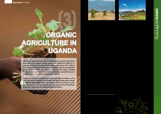 Success Stories
12 -13
(3)
ecoGREENnomyOrganicagricultureinUganda
Economic, social and environmental benefits of
organic farming in Uganda
In Uganda 85 per cent of the population was
engaged in agriculture production, contributing to
42 per cent of the national GDP and 80 per cent of the
exports earnings in 2005/06. As early as 1994 a few
commercial companies began deliberately engaging
in organic agriculture. At the same time in Uganda,
there was a general movement in the agricultural
sector towards developing sustainable agriculture as
a means of improving people’s livelihoods.
By 2003, Uganda had the world’s 13th-largest land
area under organic agriculture production and the
most in Africa. By 2004, Uganda had around 185,000
ha of land under organic farming covering more than
2 per cent of agricultural land, with 45,000 certified
farmers. By 2007, 296,203 hectares of land were under
organic agricultural production with 206,803 certified
farmers.This constitutes an increase of 359 per cent in
terms of number of farmers and 60 per cent in terms
of acreage, respectively, from 2002 to 2007.
According to IFOAM, the global market for organic
foods and drinks is estimated to be around US$50
billion, and increased by 10-20 per cent annually
between 2000 and 2007. This sub-sector provides
a unique export opportunity for many developing
countries, owing to the fact that 97 per cent of the
revenues are generated in the OECD countries, while
80 per cent of the producers are found in developing
countries of Africa, Asia and Latin America.
As an significant producer of organic products,
Uganda benefits from an important source of export
earnings and revenue for farmers. Certified organic
exports increased from US$3.7 million in 2003/4, to
US$6.2 million in 2004/5, before jumping to US$22.8
million in 2007/8. In terms of price premiums and
income for farmers, studies commissioned by UNEP
and UNCTAD indicate that in 2006 the farm-gate
prices of organic pineapple, ginger and vanilla
were 300 per cent, 185 per cent, and 150 per cent
higher, respectively than conventional products.
Through organic farming, Uganda not only gains
economically, it also contributes to mitigating
climate change, as GHG emissions per ha are
estimated to be on average 64 per cent lower than
emissions from conventional farms. Various studies
have shown that organic fields sequester 3–8 tonnes
more carbon per ha than conventional agriculture.
Policy and systemic change to transform
Uganda’s agricultural sector
On the policy side, in 2004 the Uganda Organic
Standard was adopted, while in 2007, as part of the
EastAfricanCommunity,Ugandaadoptedtheregional
standard, the East African Organic Products Standards
(EAOPS) developed under a joint UNEP-UNCTAD
initiative. In July 2009, the government released a
Draft Uganda Organic Agriculture Policy. The draft
policy describes the vision, mission, objectives and
strategies to support the development of organic
agriculture as “one of the avenues for delivering self-
sustaining growth as it provides mechanisms for
individual farmers to improve productivity, add value
and access markets which are keys to achievement of
the Poverty Eradication Action Plan objectives”.
The strategy put in place to implement the policy
is based on interventions in nine policy areas: the
promotion of organic agriculture as a complementary
agricultural production system; the development of
a system of standards, certification and accreditation;
the promotion of research, to enable technology
development and dissemination; support to the
development of local, regional and international
markets for organic products; the generation of
information, knowledge and skills through education
and training; the improvement of post-harvest
handling practices, preservation, storage and value
addition; the sustainable use of natural resources;
and participation of the special interest groups such
as women, youth, and the poor and vulnerable.
In sum, Uganda has taken an apparent liability –
limited access to chemical inputs – and turned this
into a comparative advantage by growing its organic
agriculture base, generating revenue and income for
smallholder farmers.
Organic
agriculture in
Uganda
Uganda has taken important steps in transforming conventional agricultural
production into an organic farming system, with significant benefits for its
economy, society and the environment. Organic Agriculture (OA) is defined
by the Codex Alimentarius Commission as a holistic production management
system, which promotes and enhances agro-ecosystem health, including
biodiversity, biological cycles and soil biological activity. It prohibits the use of
synthetic inputs, such as drugs, fertilizers and pesticides.
Uganda uses among the world’s lowest amount of artificial fertilizers, at less
than 2 per cent (or 1kg/ha) of the already very low continent-wide average
of 9kg/ha in Sub Saharan Africa. The widespread lack of fertilizer use has
been harnessed as a real opportunity to pursue organic forms of agricultural
production, a policy direction widely embraced by Uganda.
1.	Ministry Of Agriculture, Animal Industry and Fisheries of Uganda, Draft Uganda Organic
Agriculture Policy, July 2009.
2.	UNEP, 2009, Global Green New Deal: Policy Brief. http://www.unep.org/pdf/A_Global_
Green_New_Deal_Policy_Brief.pdf
3.	Küstermann, B. and K.-J. Hülsbergen, 2008, Emission of Climate-Relevant Gases in Organic
and Conventional Cropping Systems, 16th IFOAM Organic World Congress, Modena, Italy,
16-20 June 2008, Available at http://orgprints.org/12813/1/12813.pdf
4.	 IFOAM and FiBL, 2009,TheWorld of Organic Agriculture. Statistics and EmergingTrends 2009.
	 International Federation of Organic Agriculture Movements (IFOAM), Bonn and Research
5.	 UNEP-UNCTADCapacityBuildingTaskForceonTrade,EnvironmentandDevelopment,2008,
Best Practices for Organic PolicyWhat developing country Governments can do to promote
the organic agriculture sector, United Nations: New York and Geneva. http://www.unep-
unctad.org/cbtf/publications/Best_Practices_UNCTAD_DITC_TED_2007_3.pdf
6.	UNEP-UNCTAD Capacity Building Task Force on Trade, Environment and Development,
2010. Organic Agriculture: Opportunities for PromotingTrade, Protecting the Environment
and Reducing Poverty. United Nations: New York and Geneva.
 