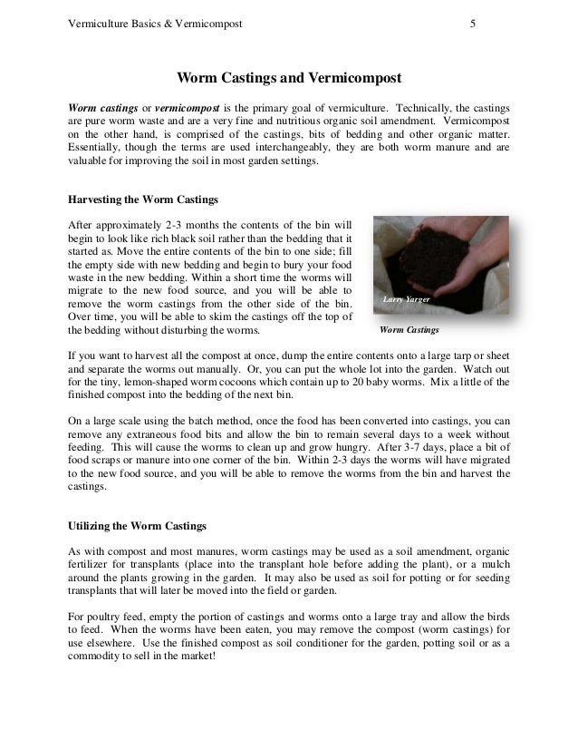 Vermiculture Basics &