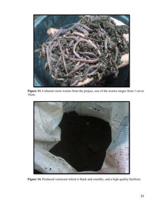 Vermiculture Pdf Research Paper on Vermiculture and Vermicomposting | PDF