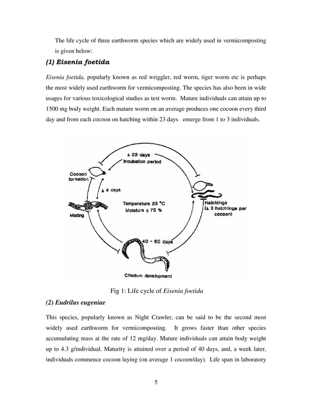 Technology for Solid Waste Management