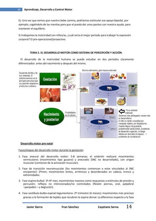 14      Aprendizaje, Desarrollo y Control Motor


Ej: Una vez que vemos que nuestro bebe camina, podríamos estimular ese apoyo bipedal, por
ejemplo, cogiéndolo de las manitas para que el pueda dar unos pasitos con nuestra ayuda, para
mantener el equilibrio.

Si trabajamos la motricidad con niños/as, ¿cuál sería el mejor período para trabajar la expresión
corporal? El pre-operacional/proyectivo.



            TEMA 5. EL DESARROLLO MOTOR COMO SISTEMA DE PERCEPCIÓN Y ACCIÓN.

  El desarrollo de la motricidad humana se puede estudiar en dos períodos claramente
diferenciados: antes del nacimiento y después del mismo.




     Desarrollo motor pre-natal:

Fases/etapas del desarrollo motor durante la gestación:

1. Fase aneural del desarrollo motor: 5-8 semanas; el embrión realizará movimientos
    vermiculares (movimientos tipo gusano) y aneurales (SNC no desarrollado), con origen
    muscular (comienzo de la activación muscular).
2. Fase de transición neuromuscular (los movimientos comienzan a estar vinculados al SNC
    encipiente): 2ºmen; movimientos lentos, arrítmicos y desordenados en cabeza, tronco y
    extremidades.
3. Fase espino-bulbal: 3º-4º mes; movimientos masivos como respuestas a estímulos de presión y
    percusión; reflejos no intencionados/no controlados (flexión piernas, oral, palpebral
    –parpadeo – y deglución).

4. Fase vestíbulo-bulbo-espinal-tegumentaria: 2º trimestre (6 meses); movimientos más precisos
    gracias a la formación de tejidos que recubren la espina dorsal. La diferencia respecto a la fase


         Javier Sierra                Fran Sánchez                   Cayetano Serna           14
 